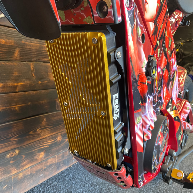Close-up of a Electric bike's front section showing a gold anodized metal controller guard and a red graphic-decorated frame.