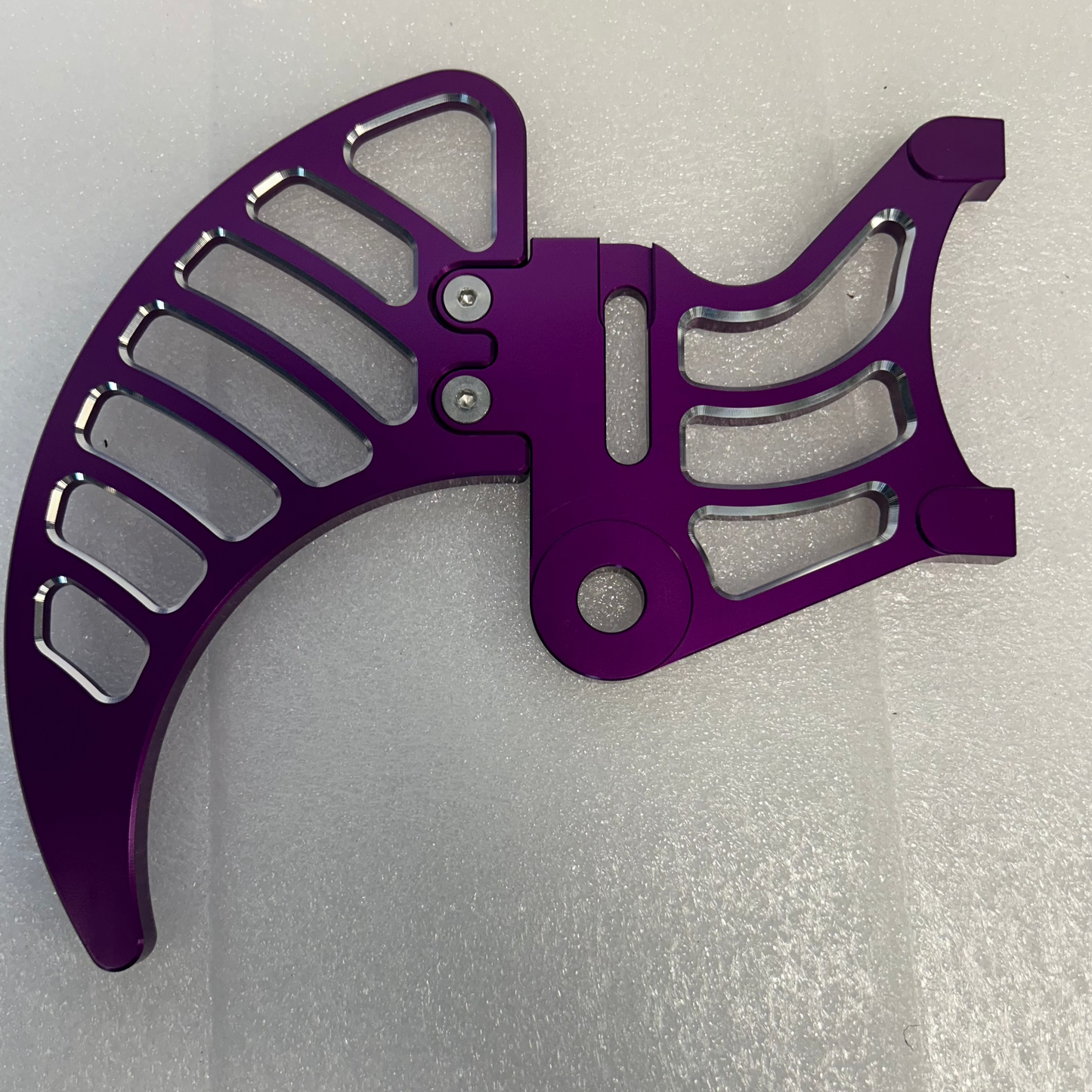 Light Bee Rear Brake Disc Guard