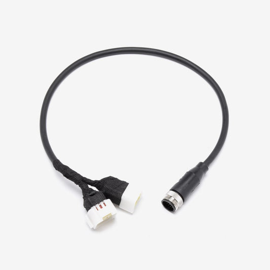 Harness (Talaria)