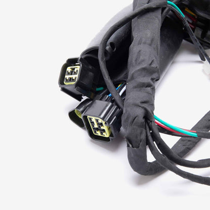 Wiring Loom 3