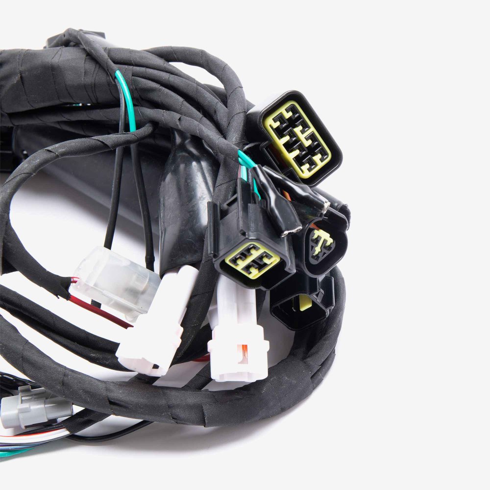 Wiring Loom 4
