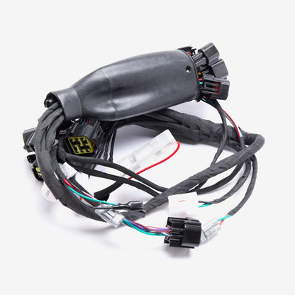 Wiring Loom 5