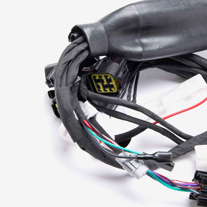 Wiring Loom 6