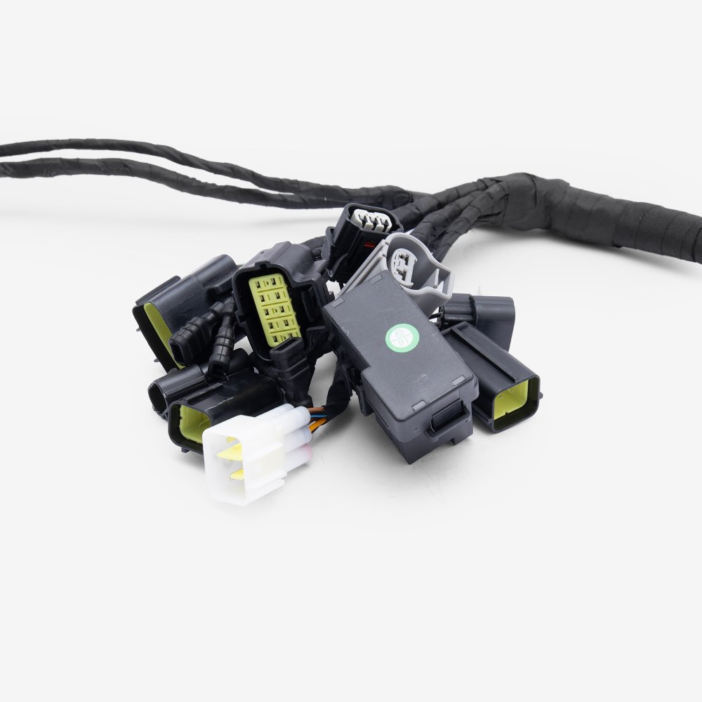 Wiring Loom 4