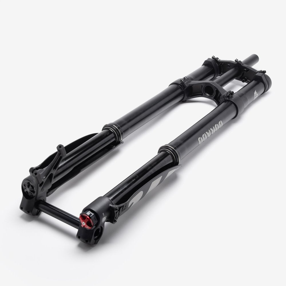 Suspension Fork Set (Manitou) 5