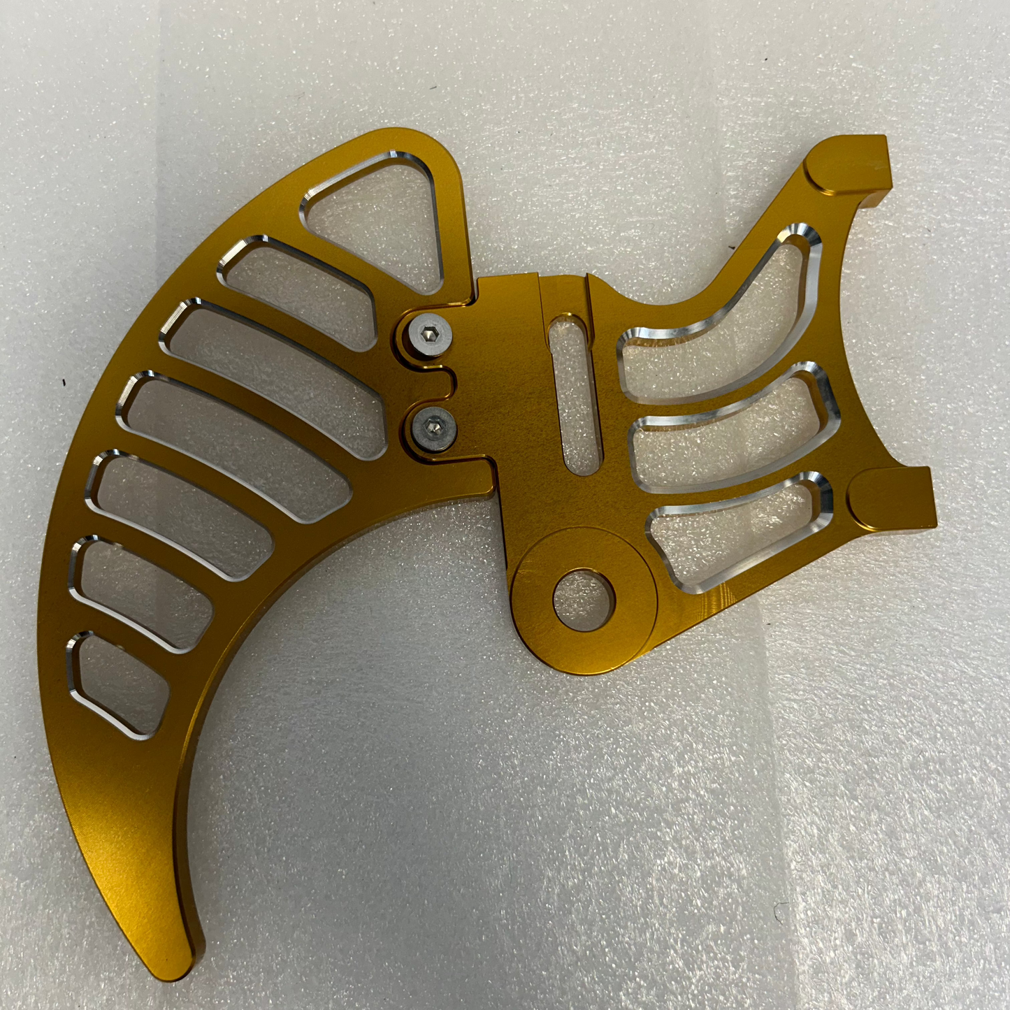 Light Bee Rear Brake Disc Guard