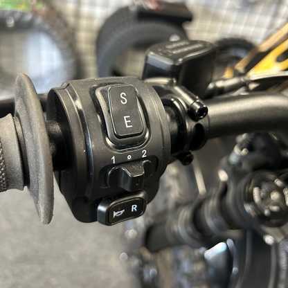 E-Ride Pro SS 2.5