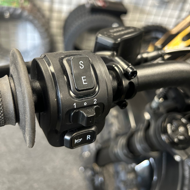 E-Ride Pro SS 2.5