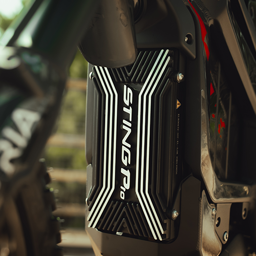 Close-up of a motorcycle with 'Stingray' branding in an outdoor setting.