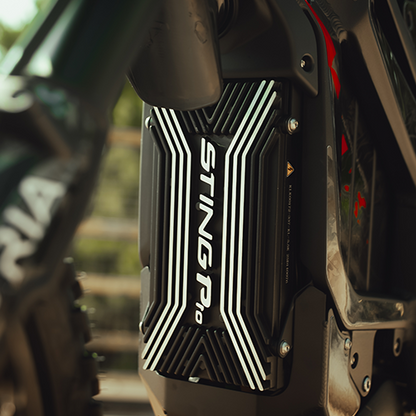 Close-up of a motorcycle with 'Stingray' branding in an outdoor setting.